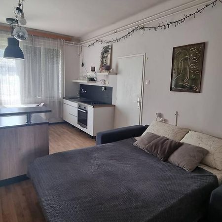 Cosy 2 Room Apartment With Nice Vibe, For Up To 4 Laibach Exterior foto